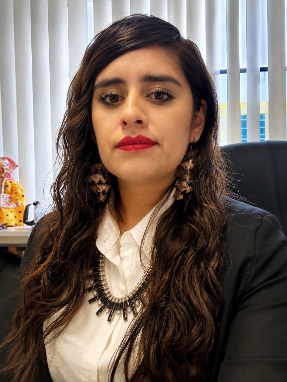 MARISOL ALFONSO ROMERO